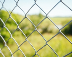 Чому сітка рабиця так називається?